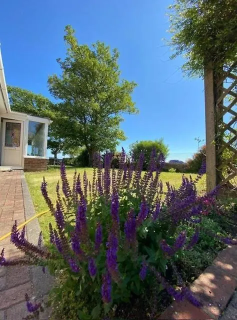 2 Bed Retreat With Amazing See View Brighton